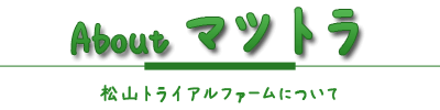 マツトラについて
